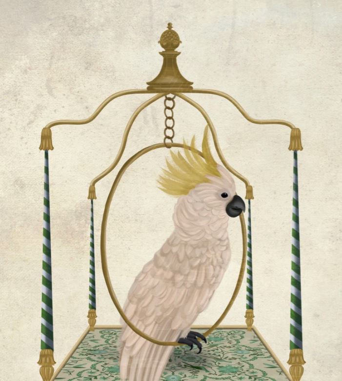 Cockatoo Wall Art