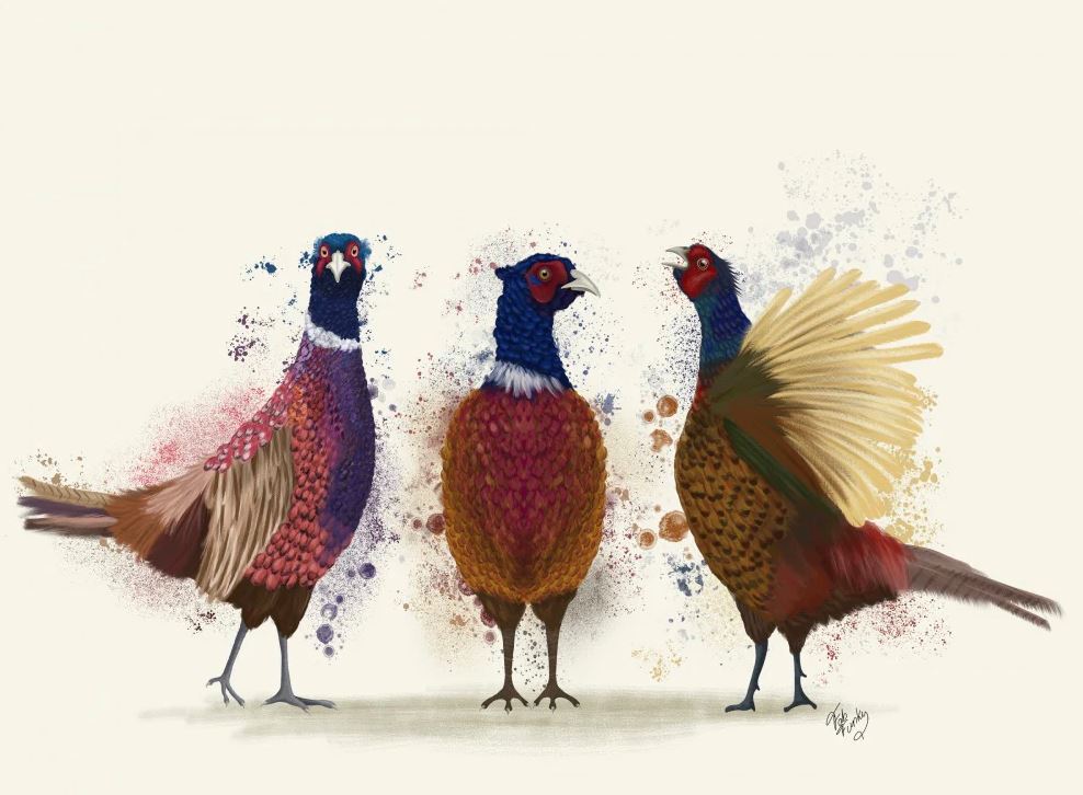 Pheasant Wall Art