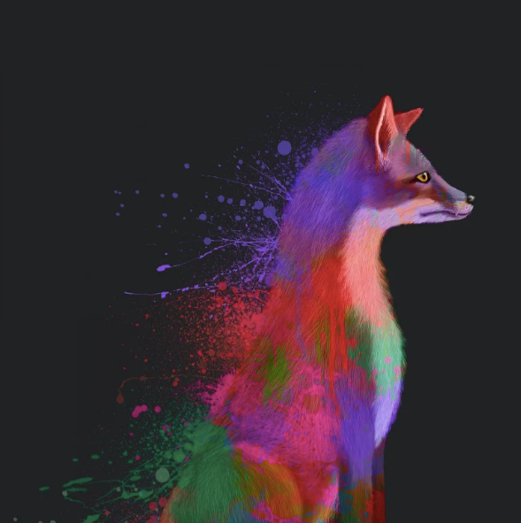 Colourful Wall Art Prints