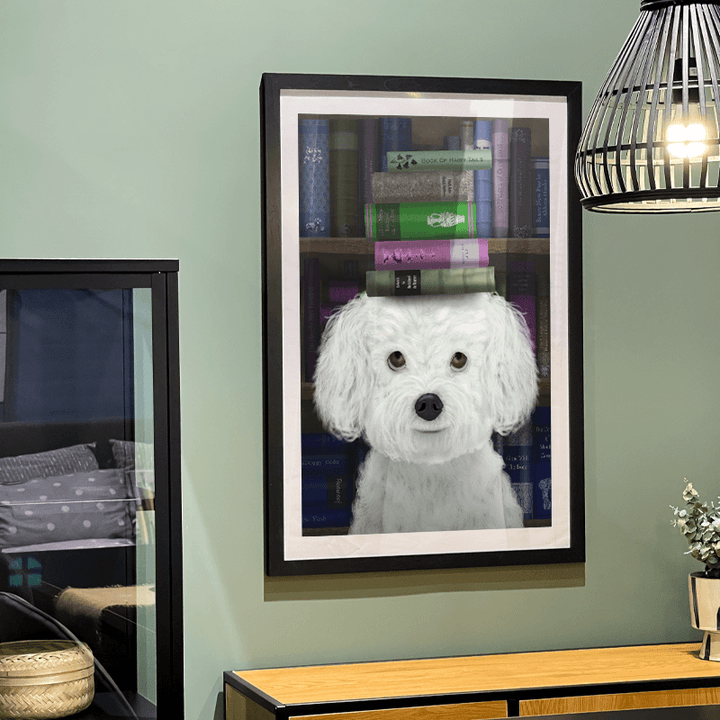 Bichon Frise and Books