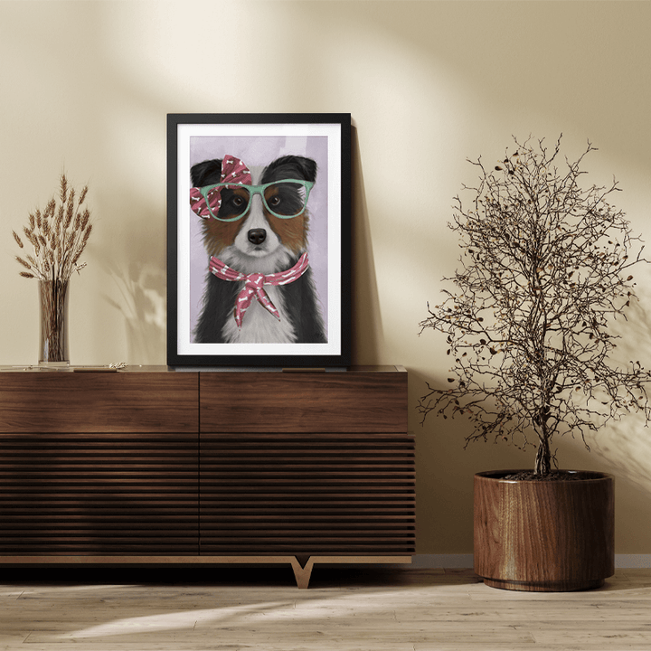Border Collie, Black and White, with Glasses and Scarf