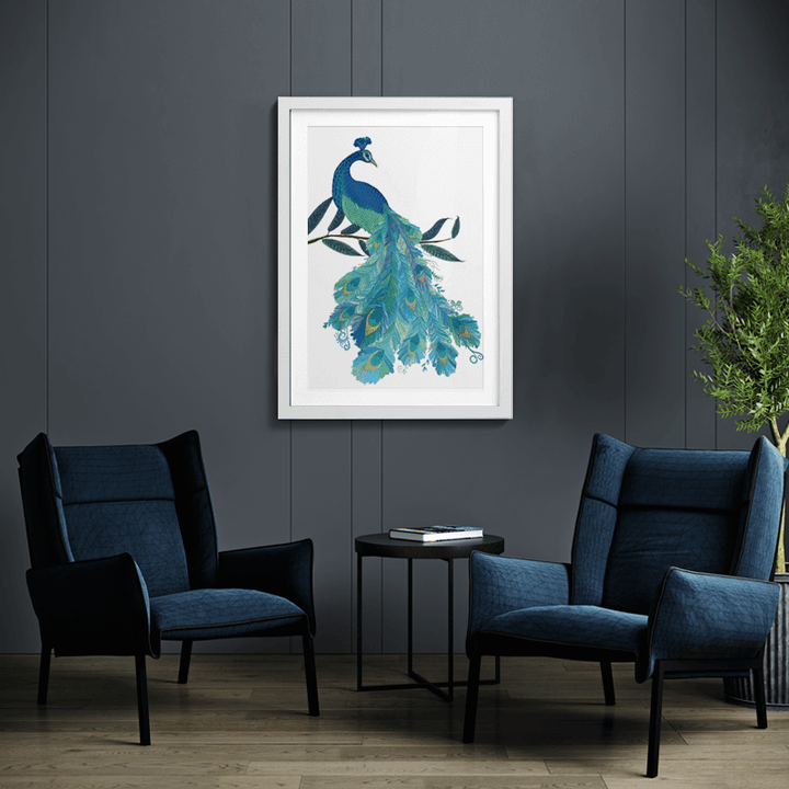 Peacock with Doodle Tail on White