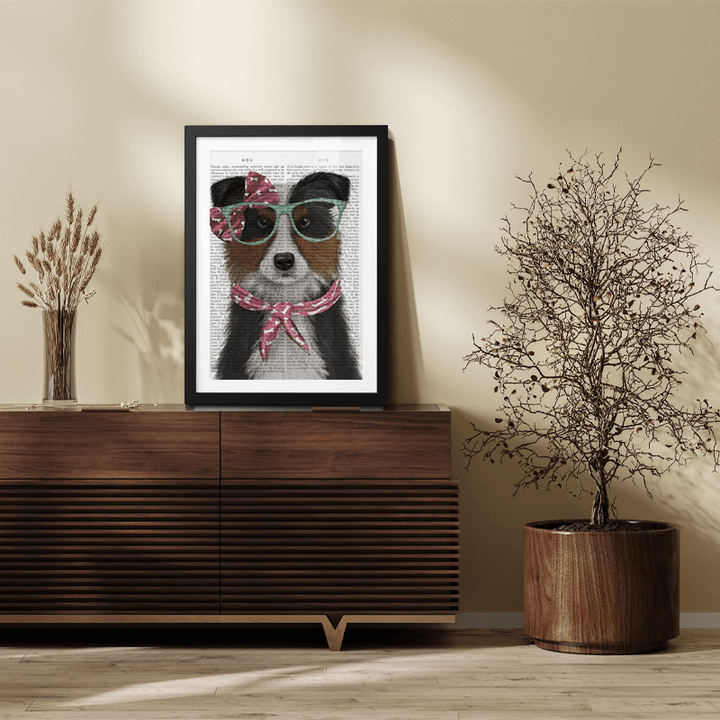 Border Collie, Black and White, with Glasses and Scarf