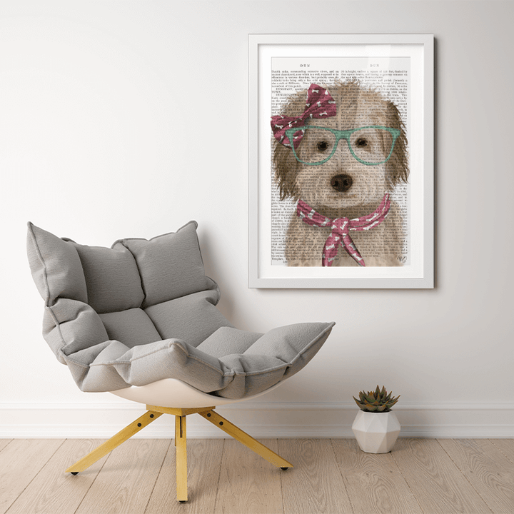 Labradoodle, Cream, with Glasses and Scarf