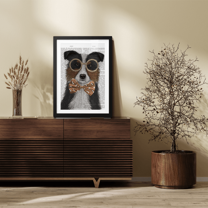 Border Collie, Tricolour, with Glasses and Bow Tie