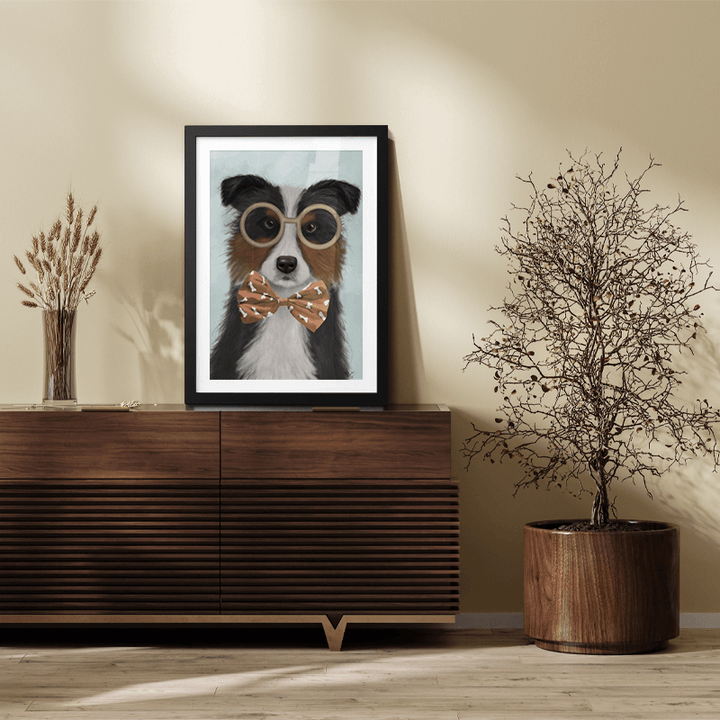 Border Collie, Tricolour, with Glasses and Bow Tie