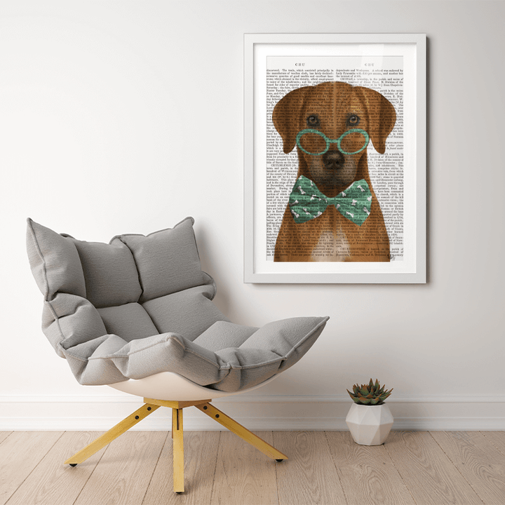 Rhodesian Ridgeback with Glasses and Bow Tie