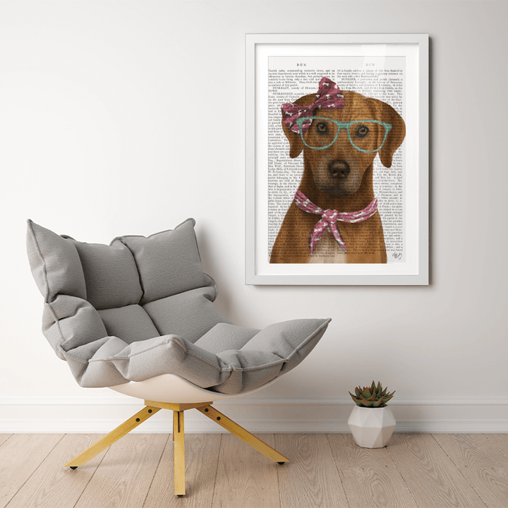 Rhodesian Ridgeback with Glasses and Scarf