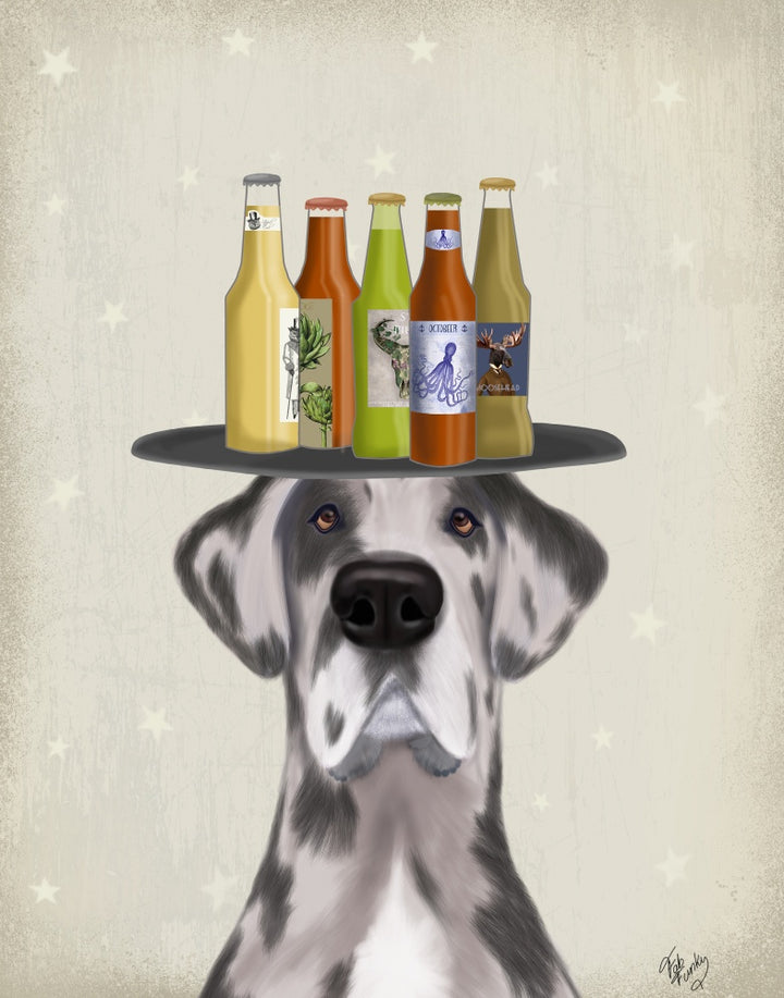 Great Dane Harlequin Beer Lover