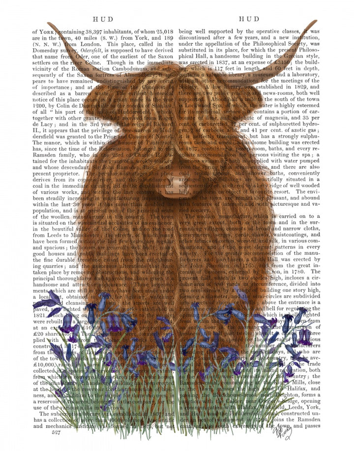 Highland Cow, Bluebell Book Print