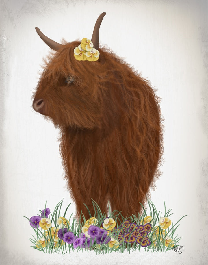Highland Cow, Pansy