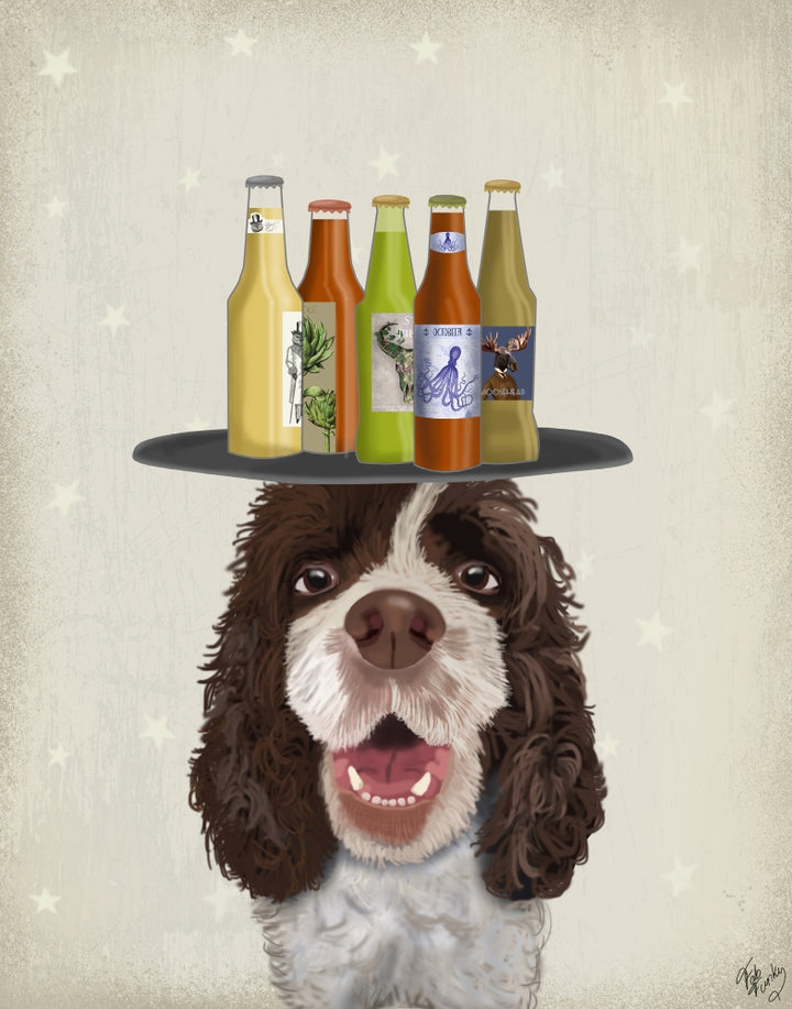 Springer Spaniel Brown White Beer Lover