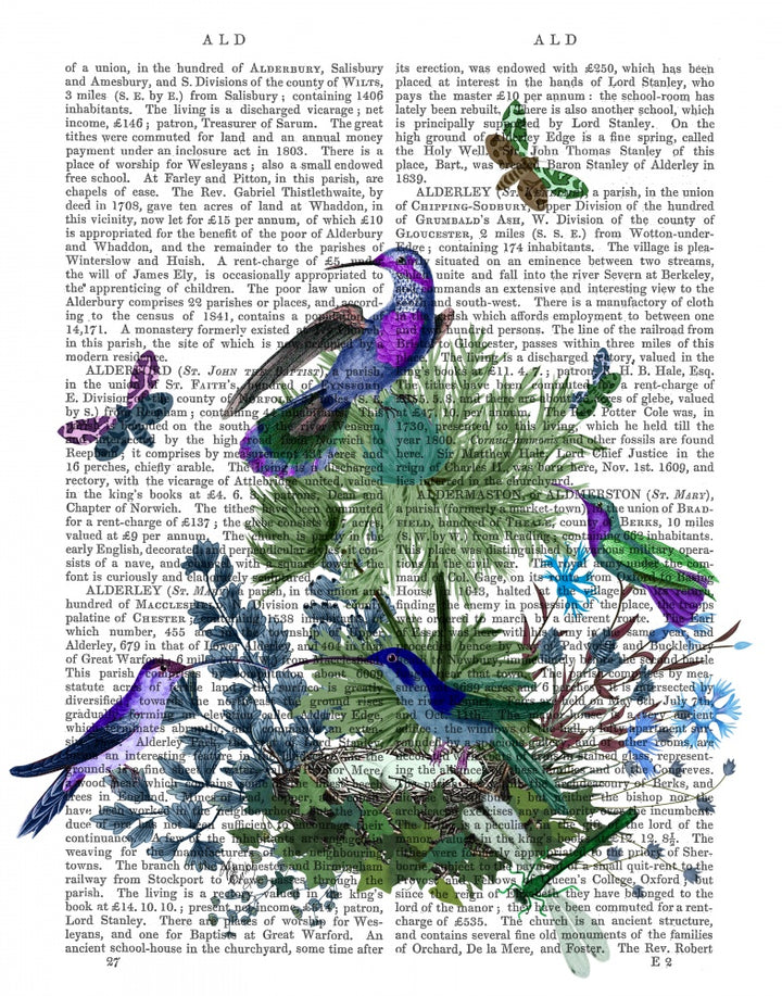 Tropical Birds Nest 1 Book Print