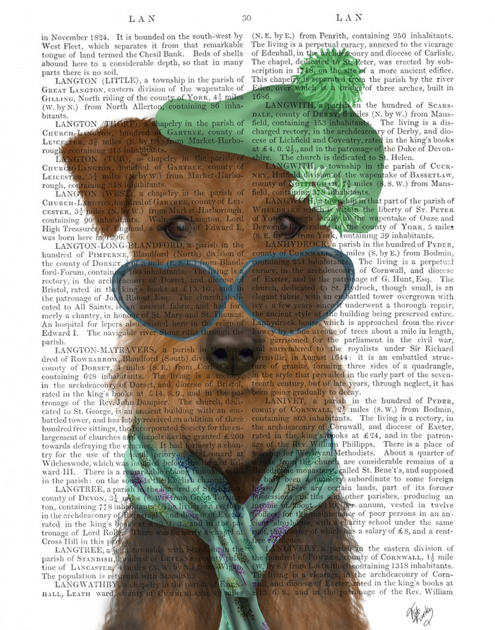 Airedale and Heart Glasses