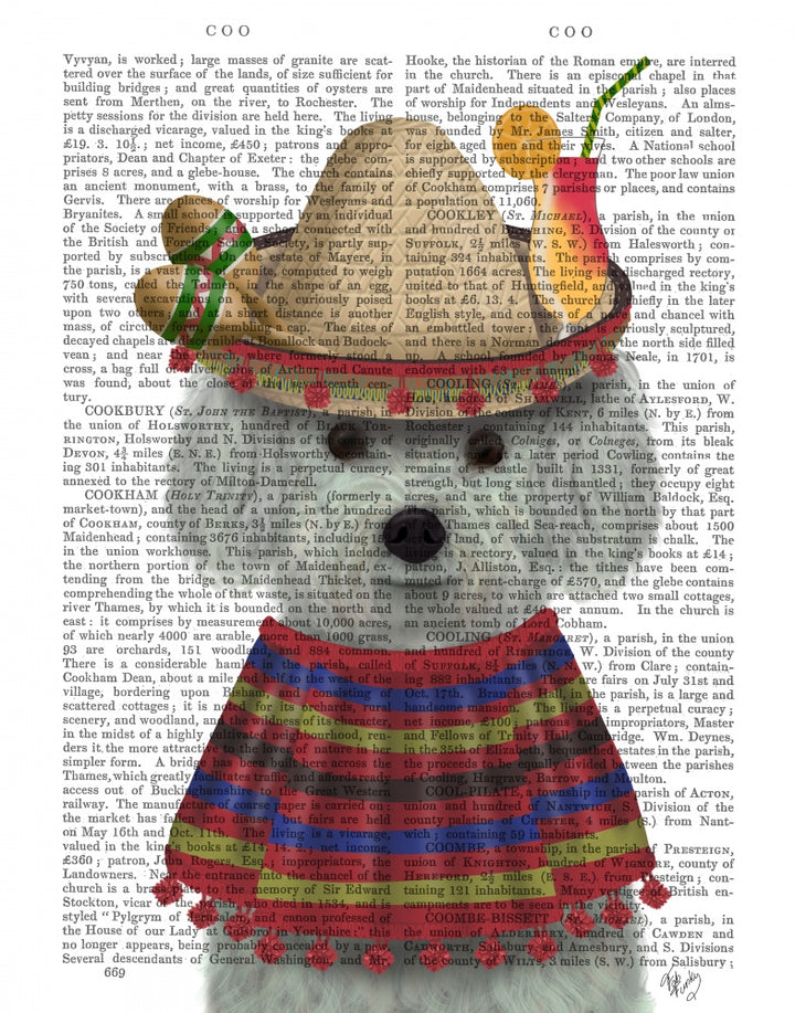 Bichon Frise in Mexican Costume
