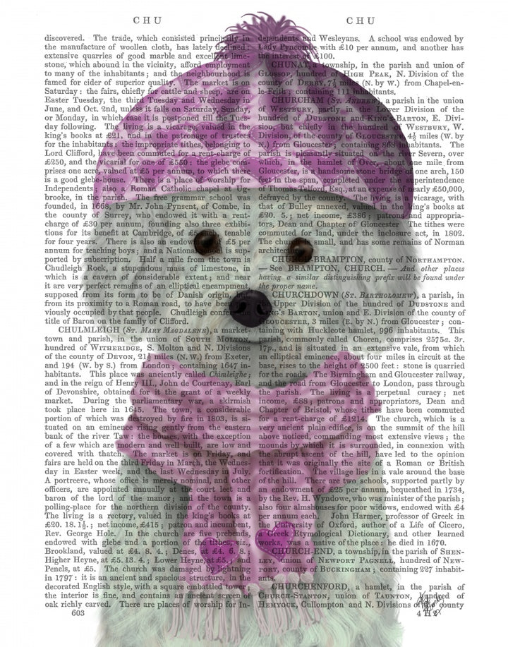 Bichon Frise in Pink Bobble Hat