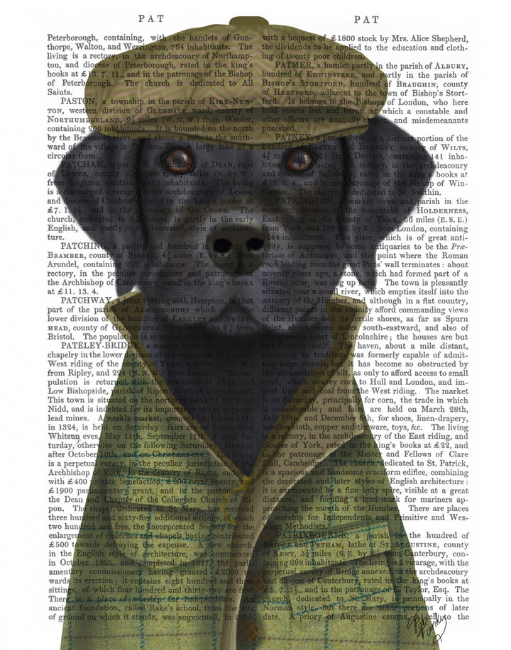Black Labrador Country Dog