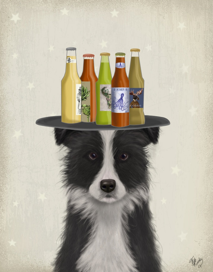 Border Collie Black White Beer Lover