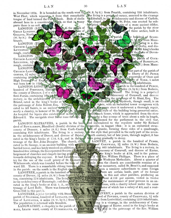 Butterfly Heart Bush, Green & Pink