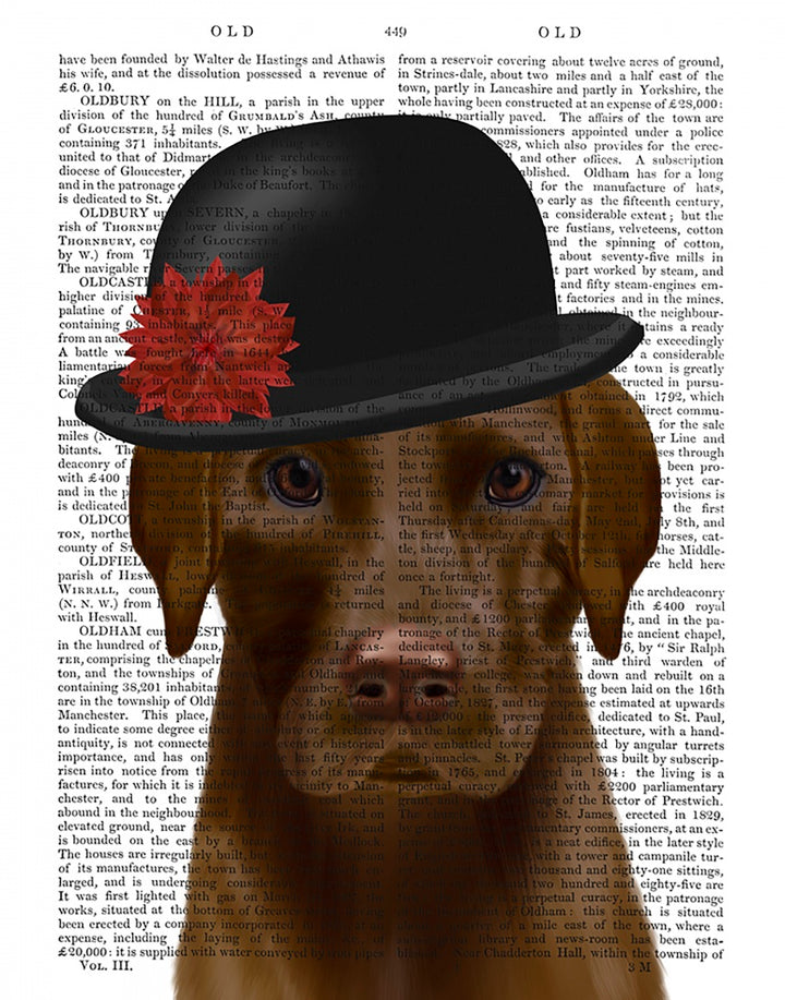 Chocolate Labrador and Bowler