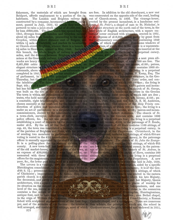 German Shepherd Lederhosen