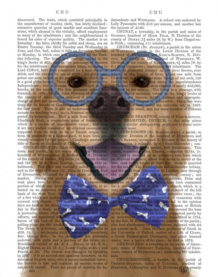 Golden Retriever, Glasses and Bow Tie