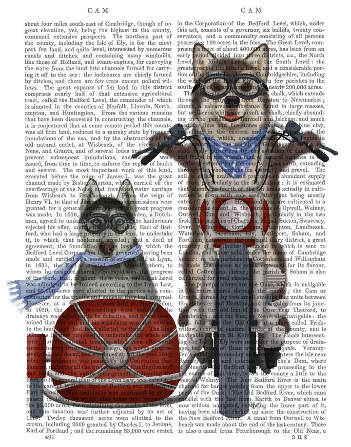 Husky Chopper and Sidecar