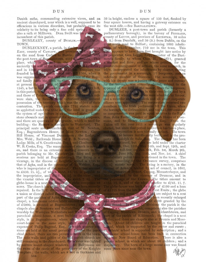 Rhodesian Ridgeback with Glasses and Scarf
