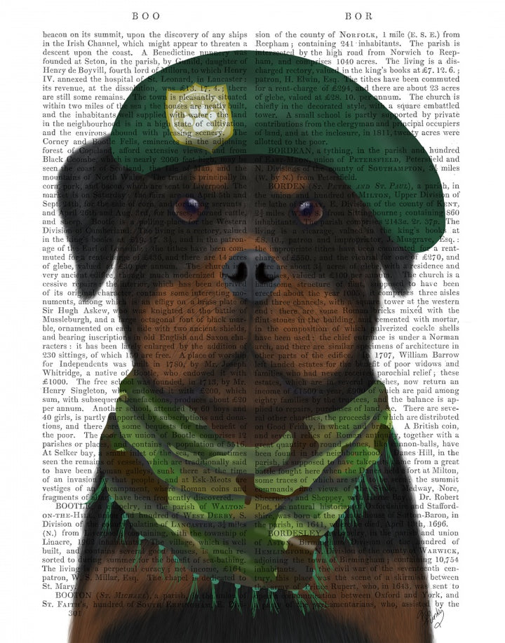 Rottweiler Military Dog