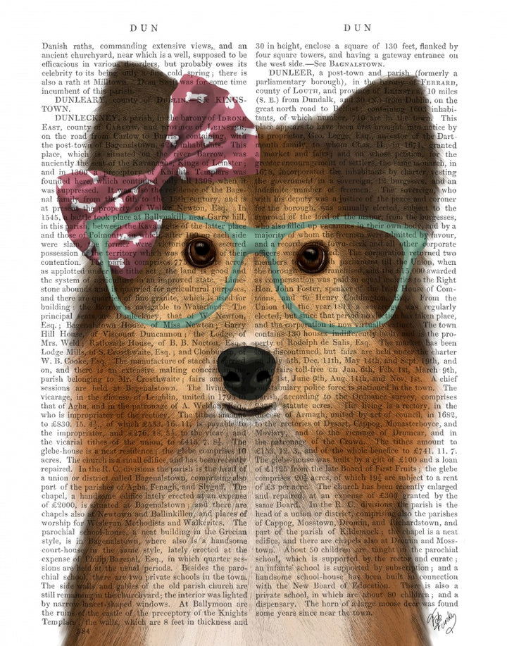 Shetland Sheepdog with Pink Bow