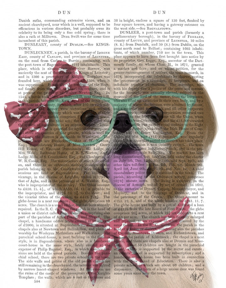 Shih Tsu with Glasses and Scarf