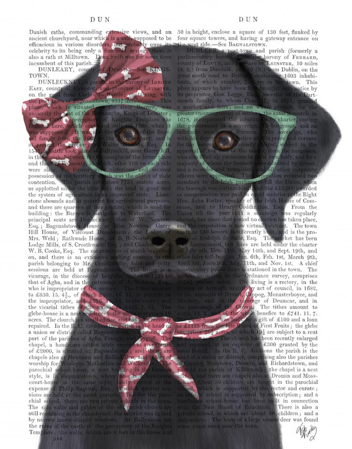 Black Labrador with Glasses and Scarf