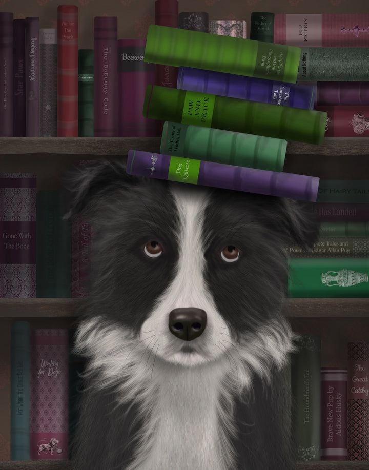 Border Collie, Black and White, and Books