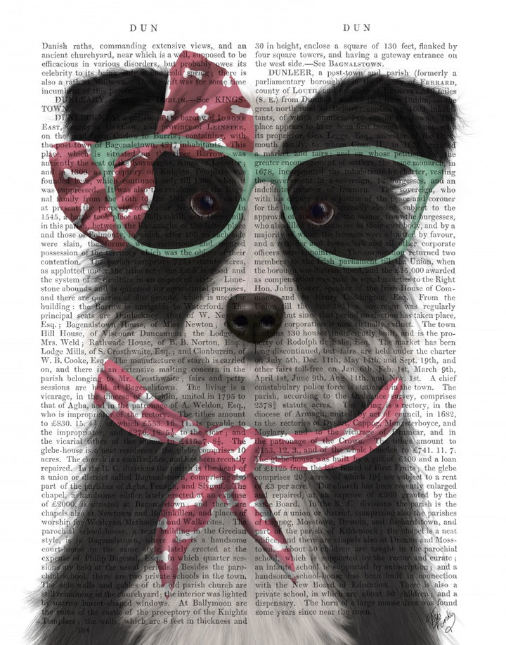 Border Collie, Black and White, with Glasses and Scarf