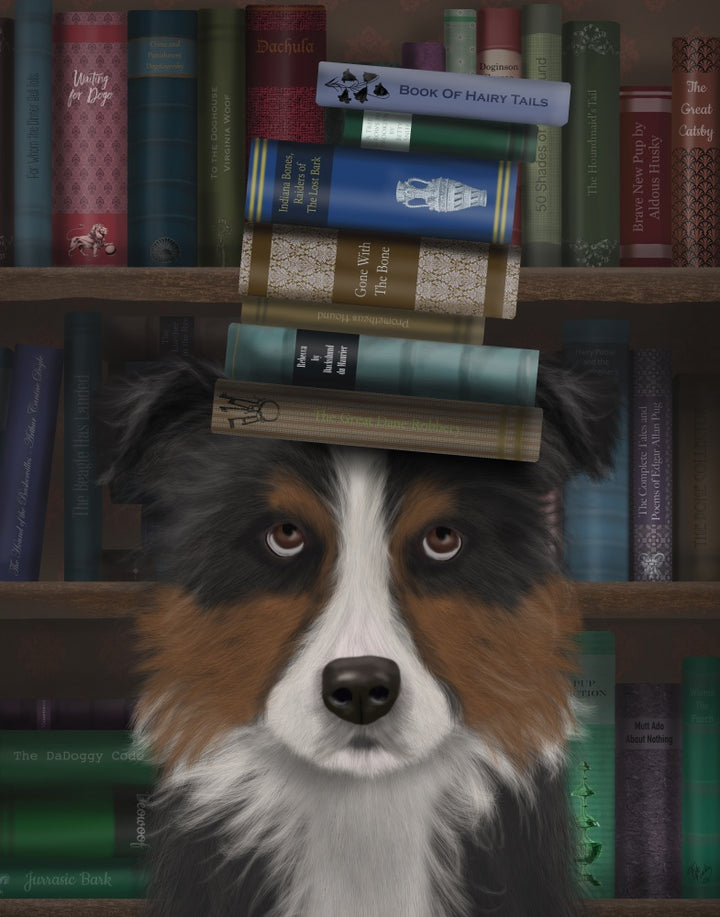 Border Collie, Tricolour, and Books