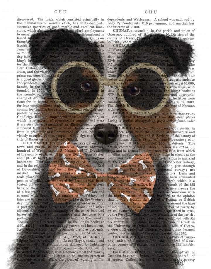 Border Collie, Tricolour, with Glasses and Bow Tie