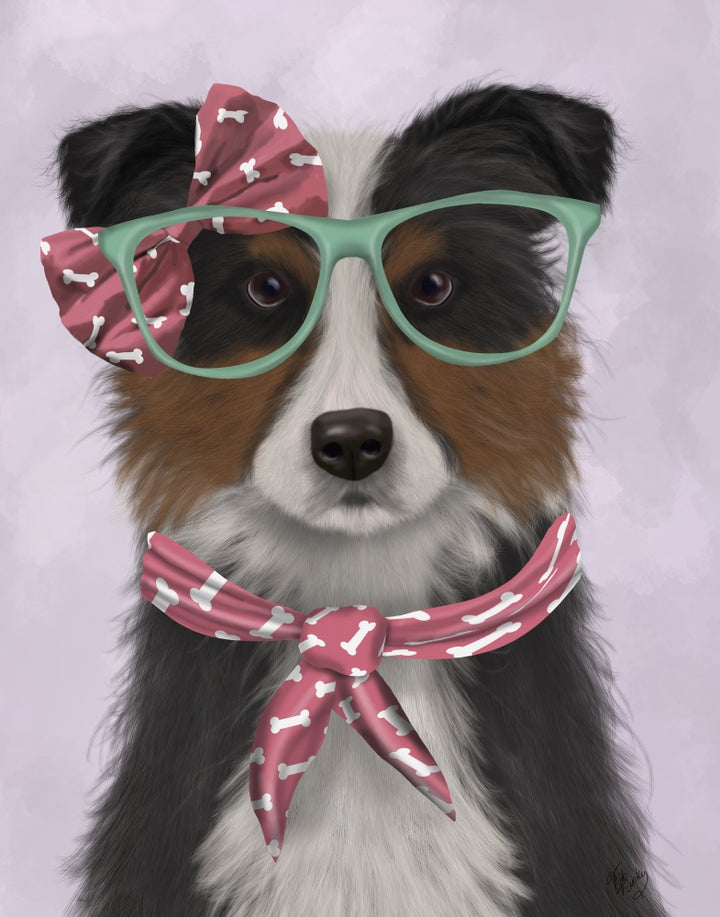 Border Collie, Tricolour, with Glasses and Scarf