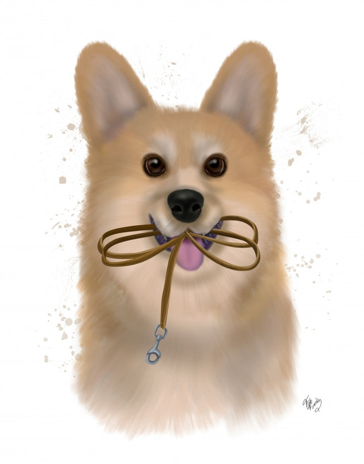 Corgi Walkies