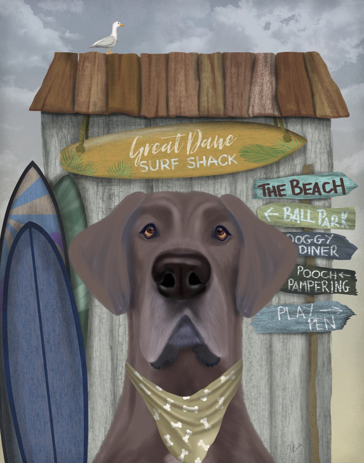 Great Dane Surf Shack
