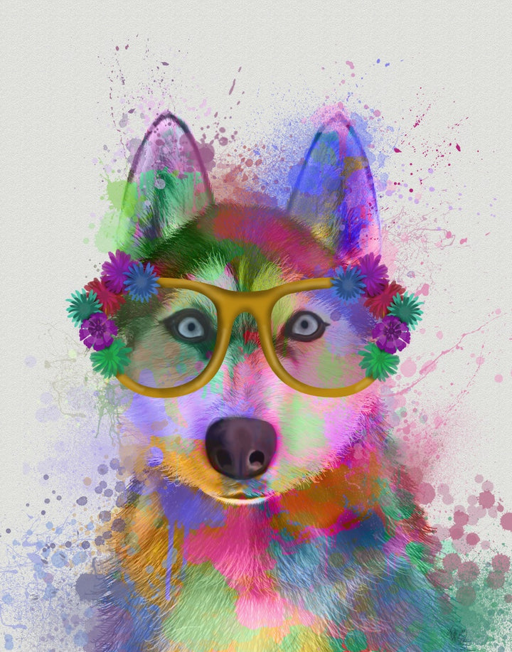 Husky Rainbow Splash