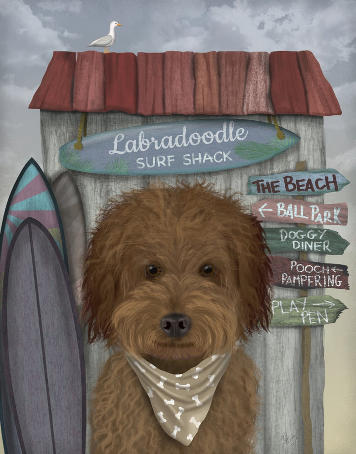 Labradoodle, Brown, Surf Shack