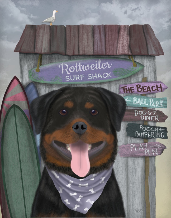 Rottweiller Surf Shack