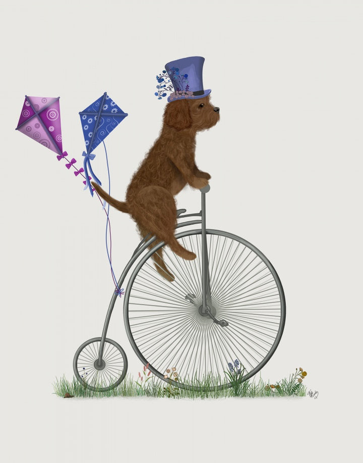 Cavapoo Brown on Penny Farthing