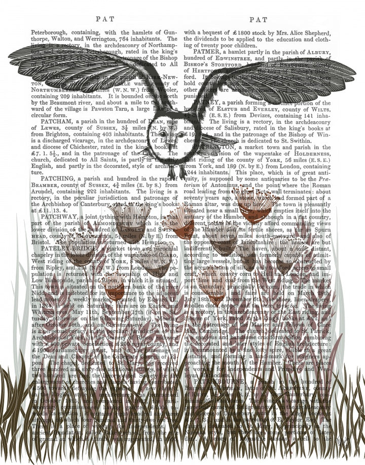Country Lane Owl 4, Earth