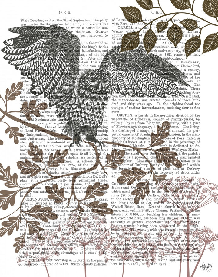 Country Lane Owl 5, Earth