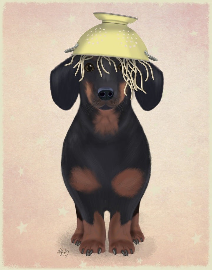 Dachshund Colander
