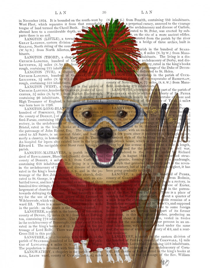 Shiba Inu Ski Dog Book Print