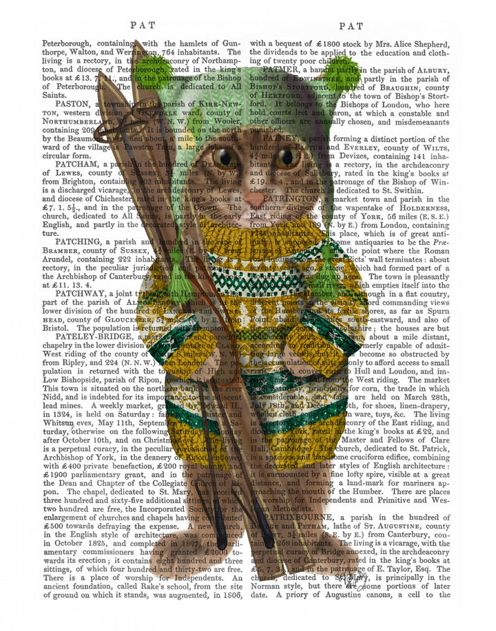 Tabby Ski Cat Book Print