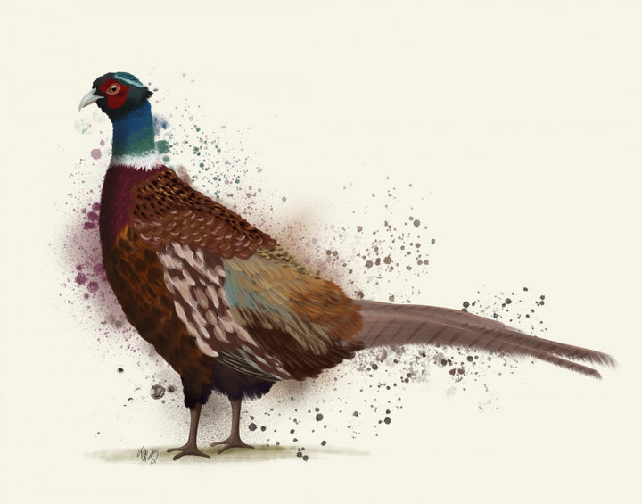 Pheasant Splash 1