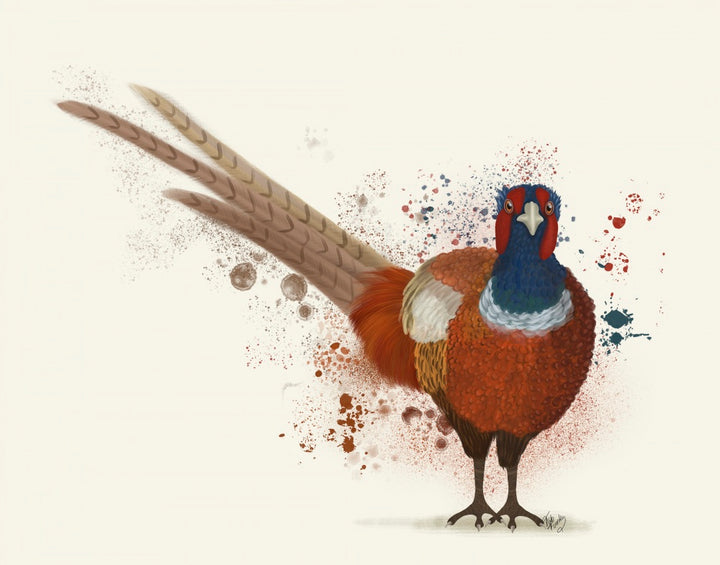 Pheasant Splash 7